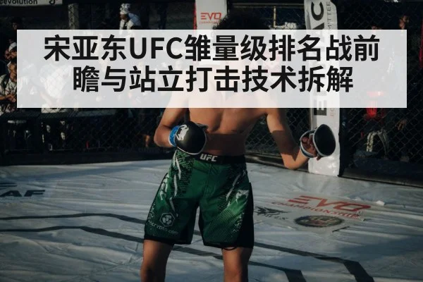 UFC octagon cage fight