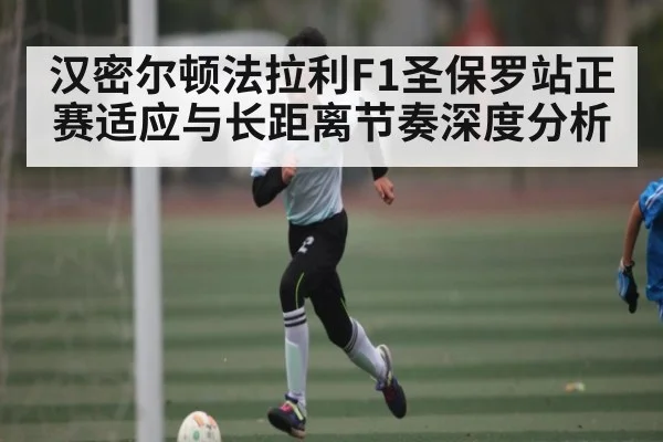 汉密尔顿法拉利F1圣保罗站正赛适应与长距离节奏深度分析